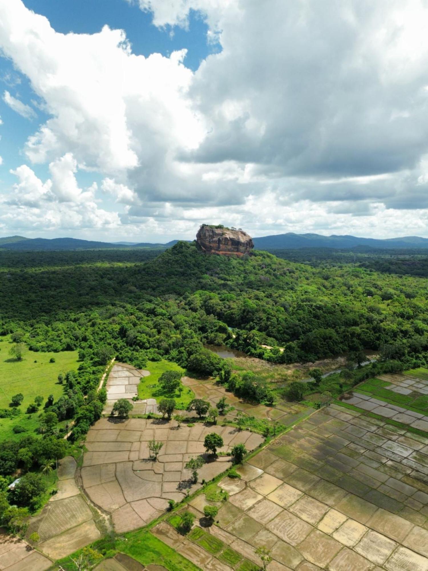 Sigiri Dilu Villa Sigiriya Exterior foto