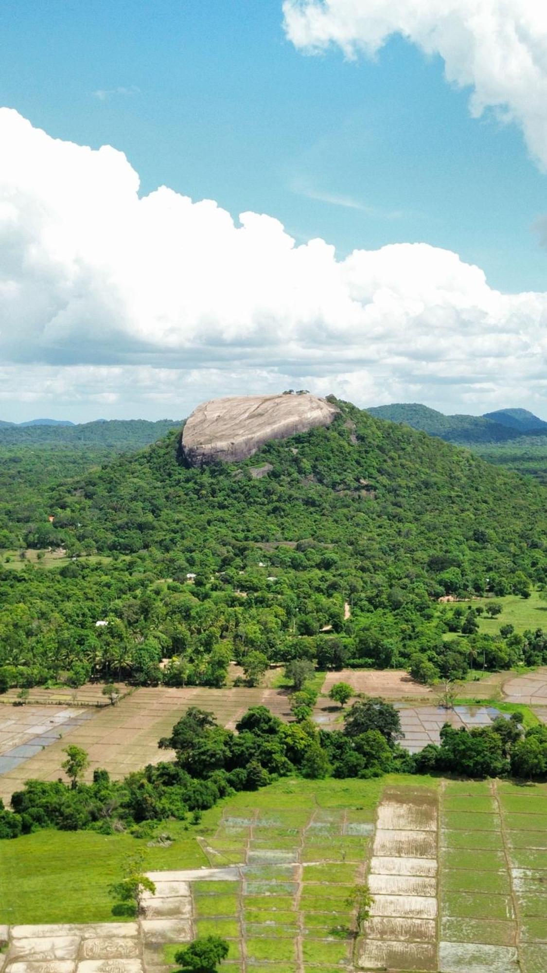 Sigiri Dilu Villa Sigiriya Exterior foto